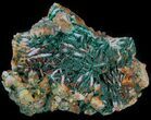 Malachite Crystals on Barite - Morocco #61754-2